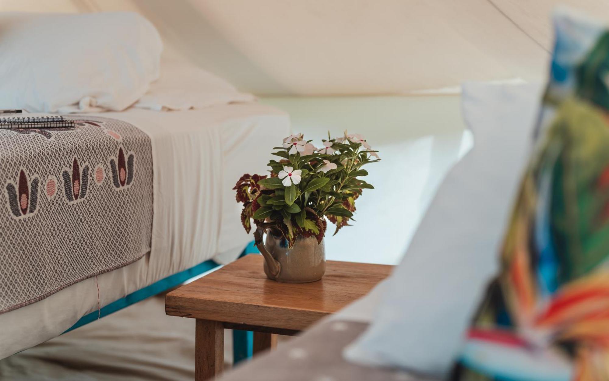 Le Life Resort Epule Екстериор снимка